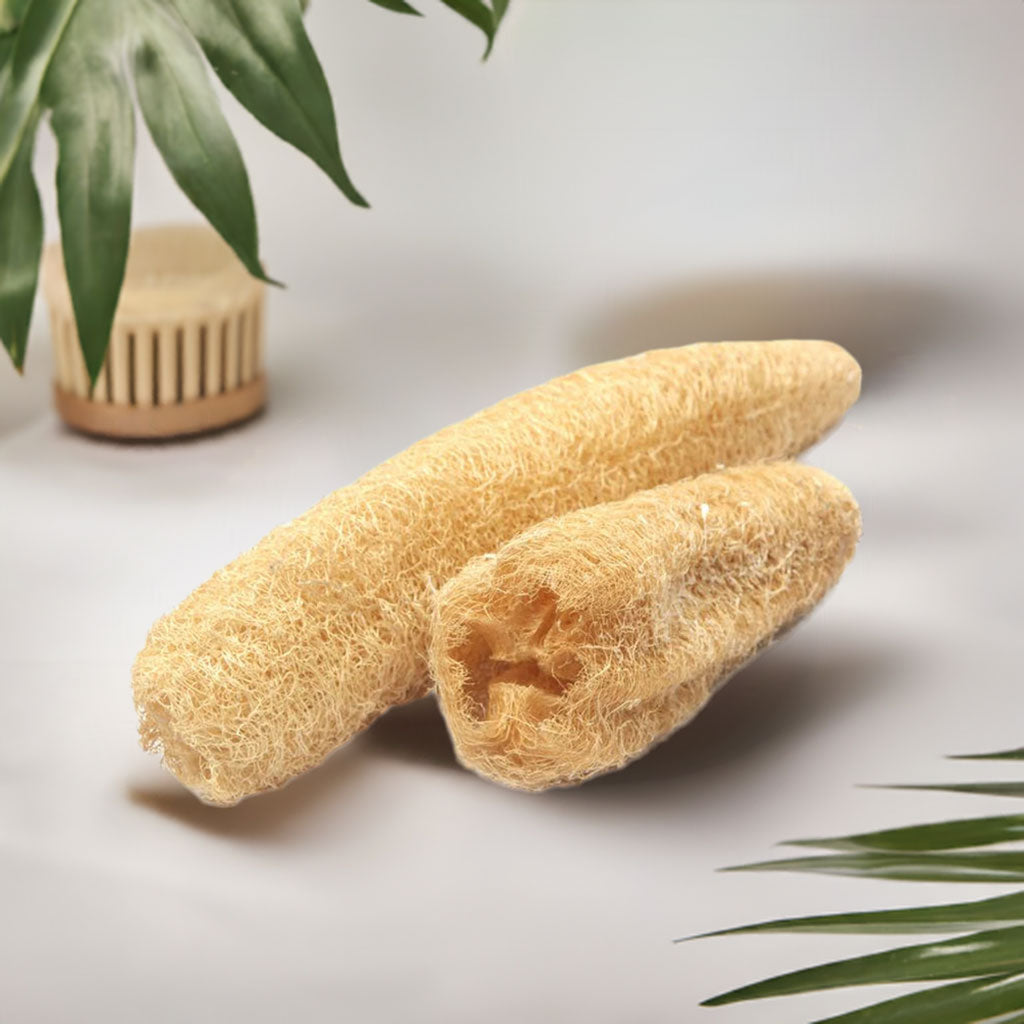 Alam Ara natural bath loofah for effective full body exfoliation, eco-friendly.