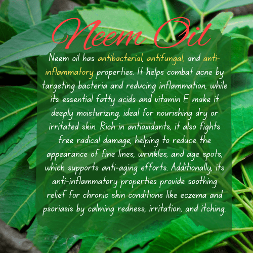 Aleo Vera and Neem Soap - Alam Ara