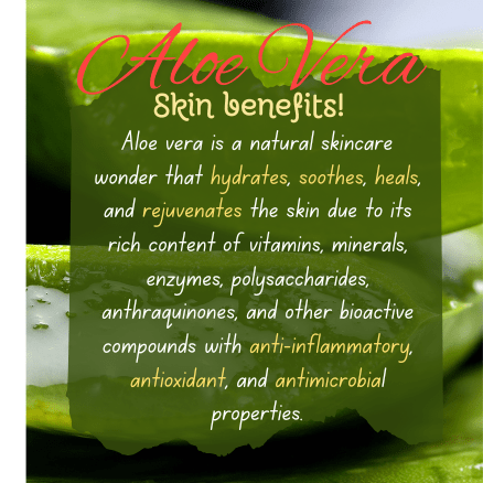 aleovera_and-neem-with-teatree-essential-oil-antibacteria